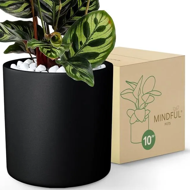 Mindful Pots fiberstone plant pots